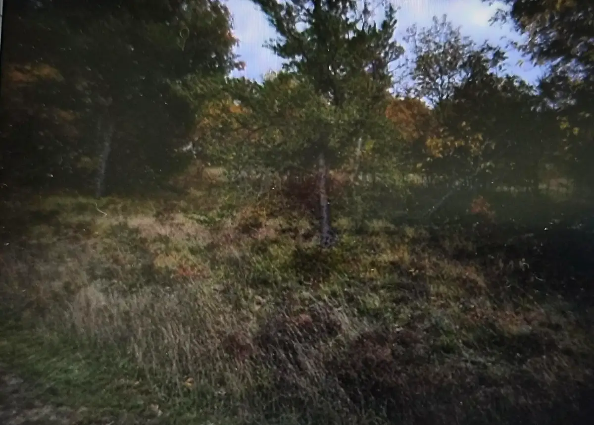 Lot 5 Northwood Drive, Grayling, MI 49738 - #1