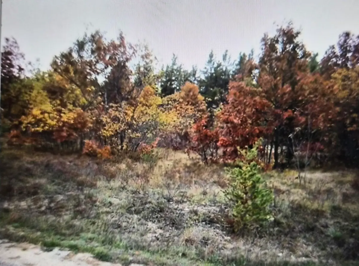 Lot 8 Northwood Drive, Grayling, MI 49738 - #1
