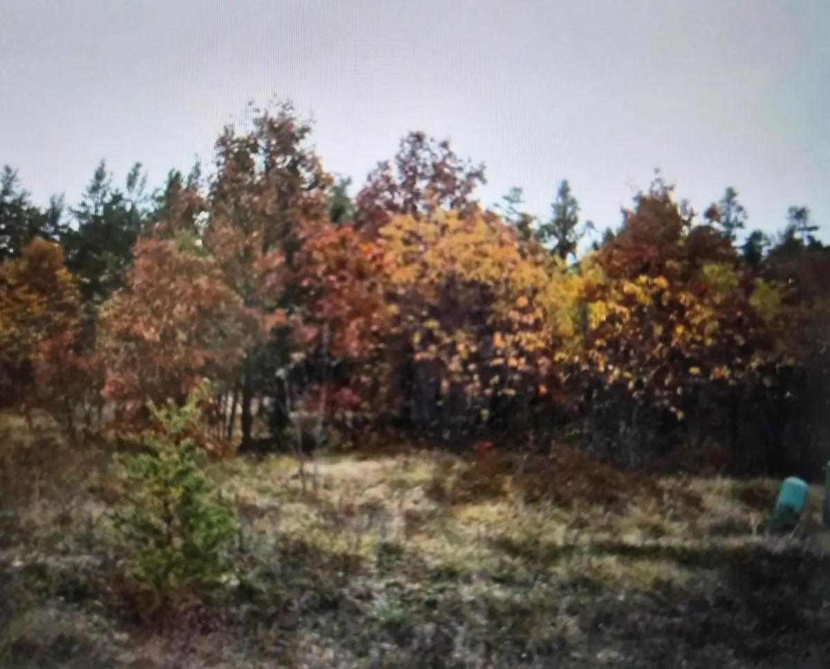 Lot 9 Northwood Drive, Grayling, MI 49738 - #1