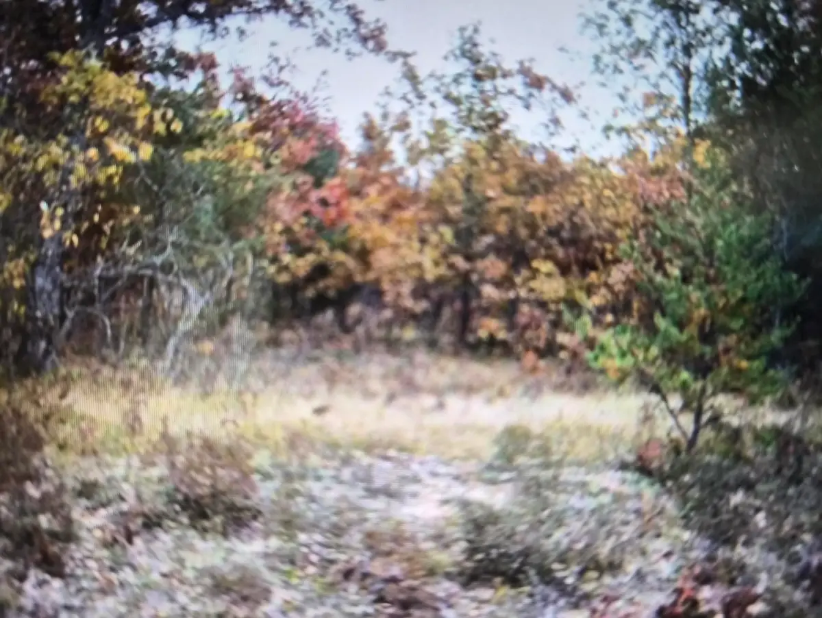 Lot 14 Northwood Drive, Grayling, MI 49738 - #1