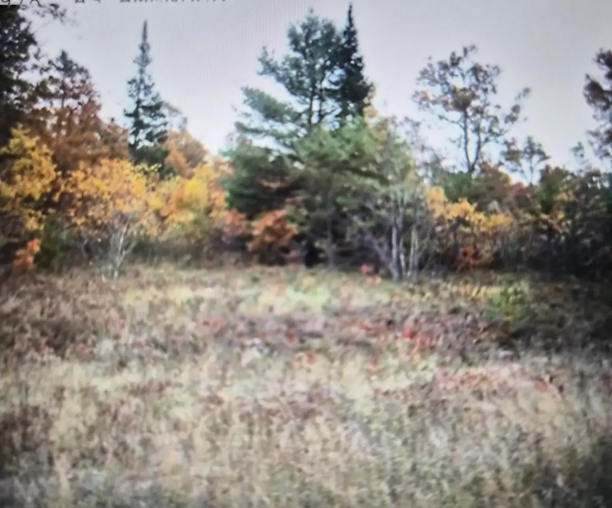 Lot 19 Northwood Drive, Grayling, MI 49738 - #1