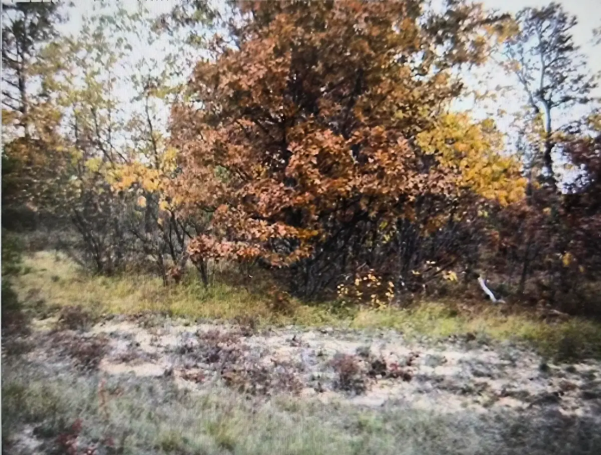 Lot 20 Northwood Drive, Grayling, MI 49738 - #1