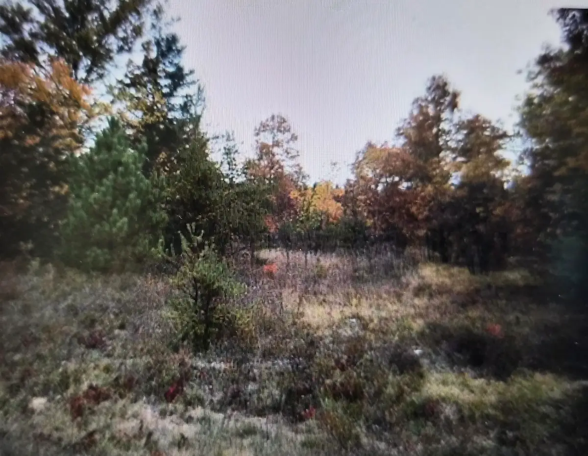 Lot 21 Northwood Drive, Grayling, MI 49738 - #1