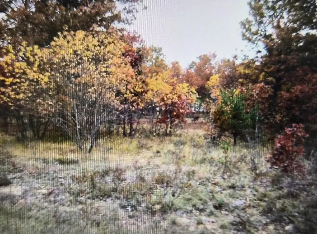 Lot 22 Northwood Drive, Grayling, MI 49738 - #1