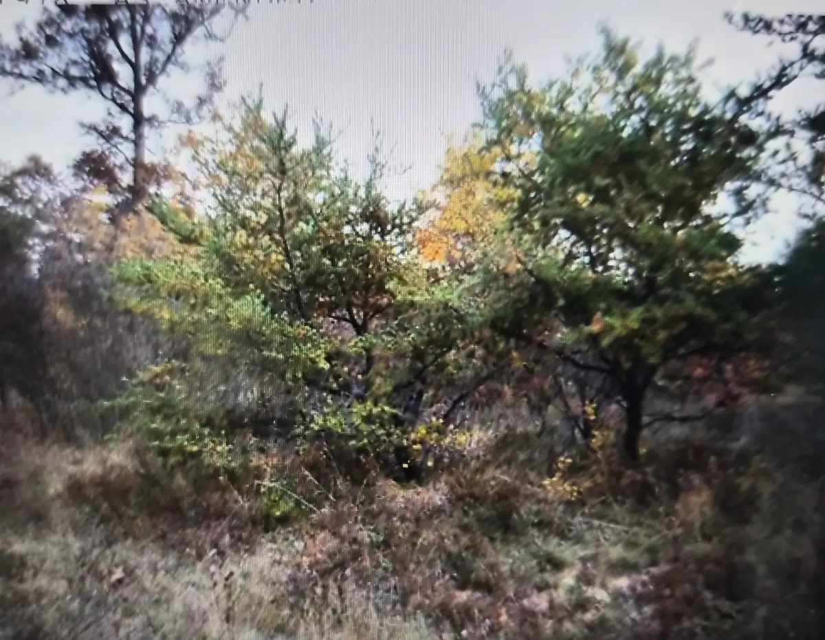Lot 25 Northwood Drive, Grayling, MI 49738 - #1