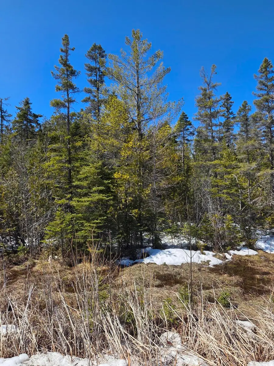 245 Winyah Drive, Alpena, MI 49707 - #3