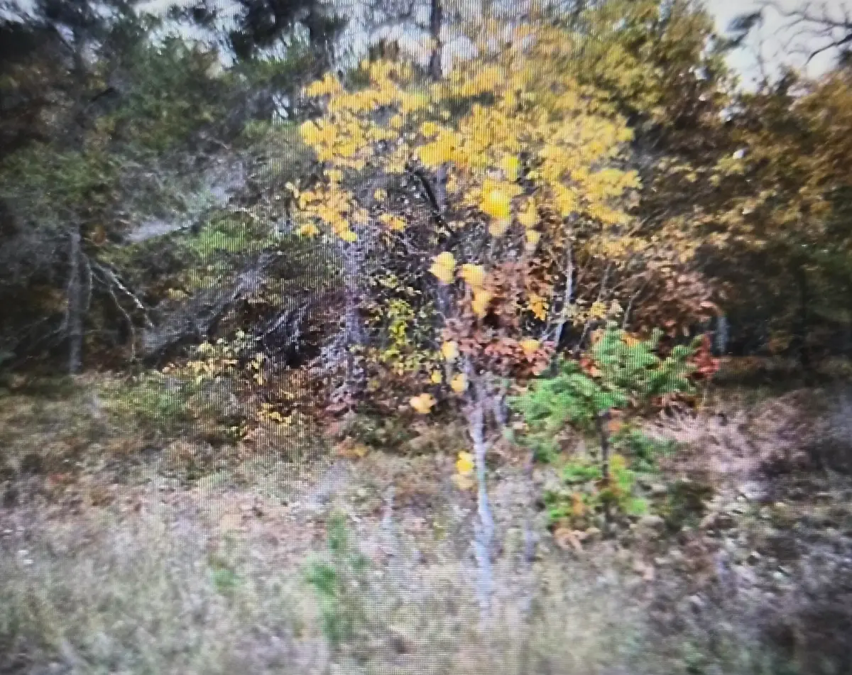 Lot 33 Northwood Drive, Grayling, MI 49738 - #1