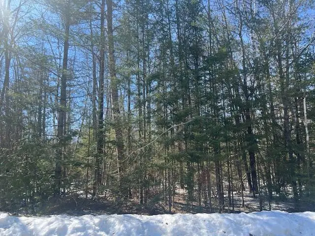 Lot 309 Northland Heights Drive, Presque Isle, MI 49777 - #3