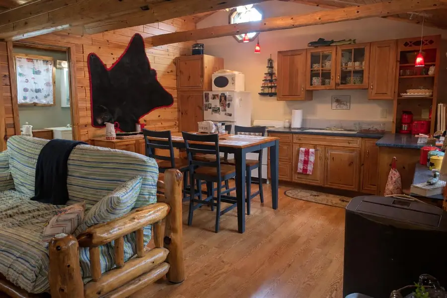 23319 Porcupine Trail, Atlanta, MI 49709 - #2