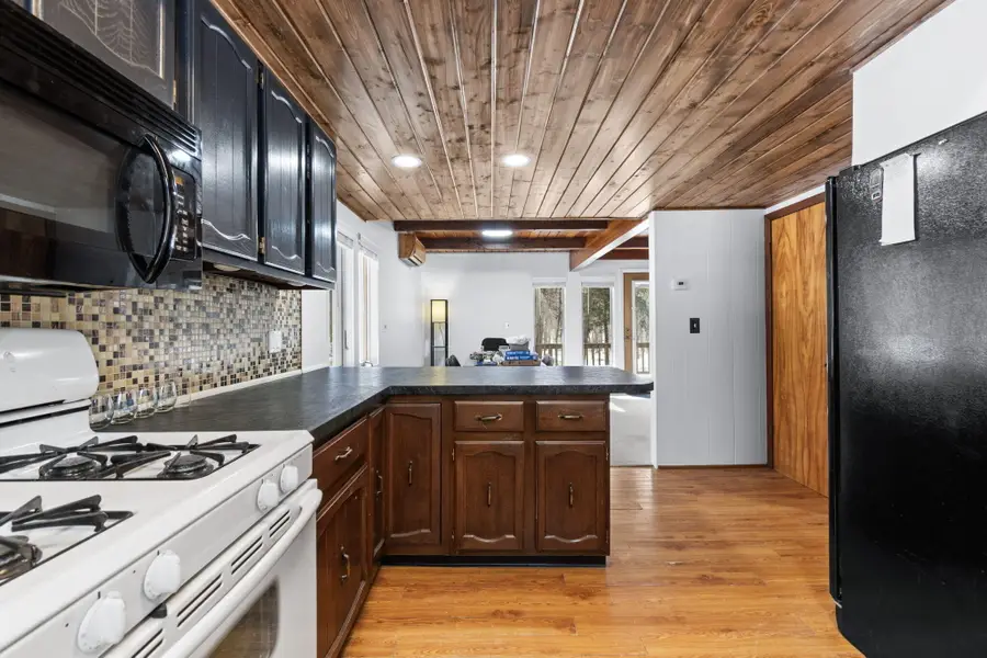890 S Slashing Road, Boyne Falls, MI 49713 - #3