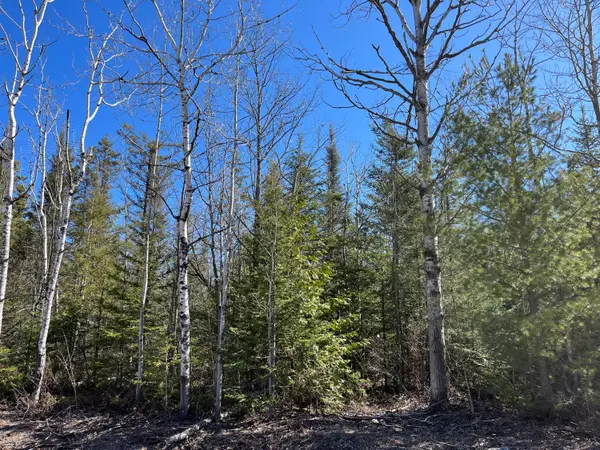 L 251-252 Pineview Drive, Presque Isle, MI 49777