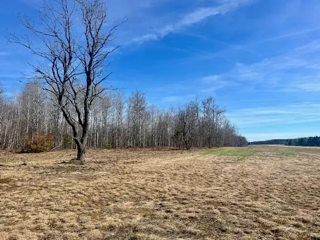 Lots 30-32 Southwood Drive, Mancelona, MI 49659 - #1