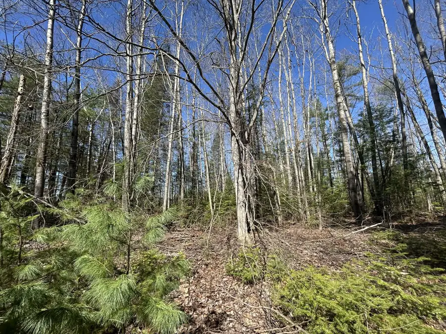 1871 E Helmer Lake Road, Fairview, MI 48621 - #3