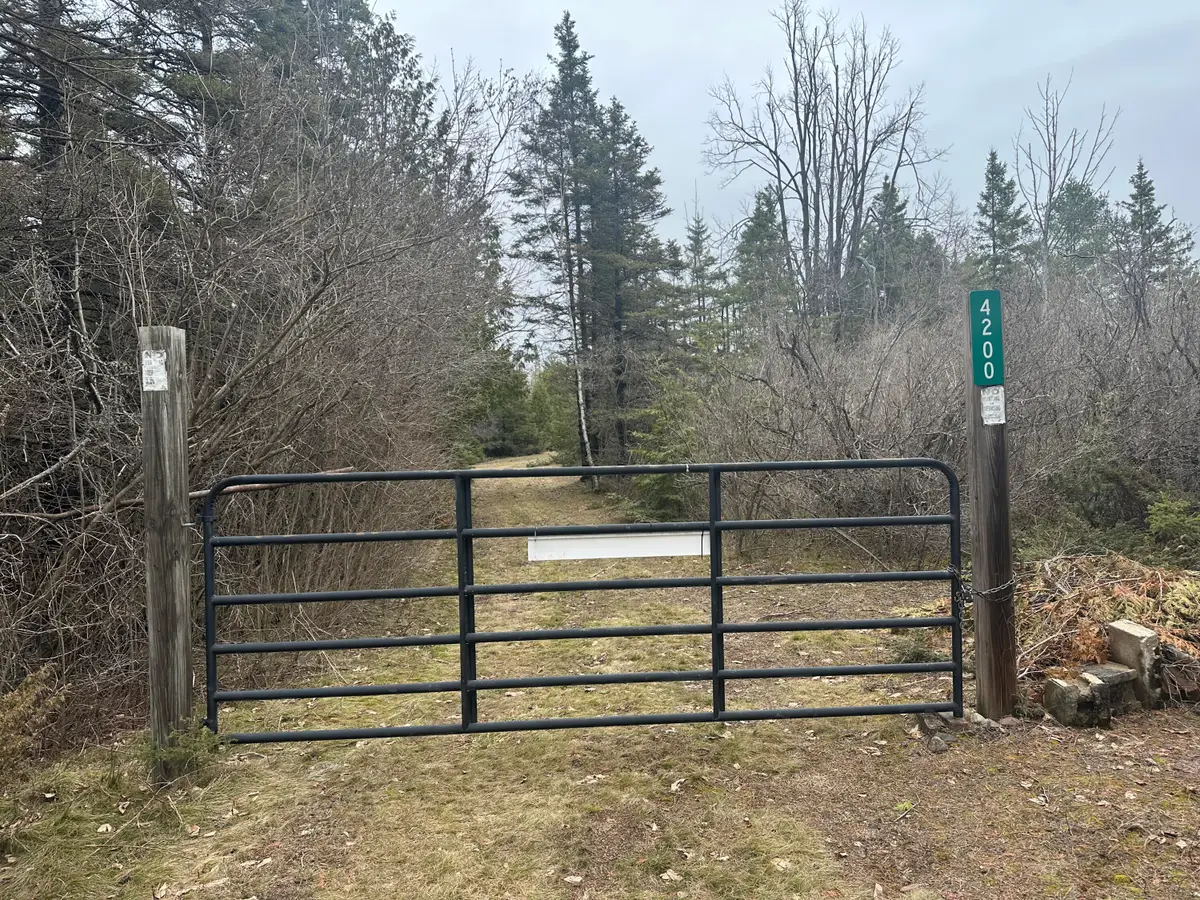 4200 Bloom Road, Alpena, MI 49707 - #1