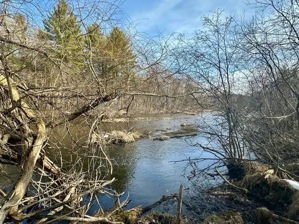 1.10 AC Twin Bridge Road, Grayling, MI 49738