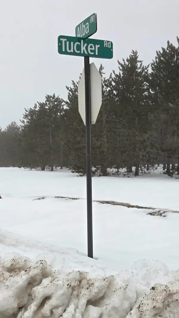 Par A-B Tucker Road, Elmira, MI 49730