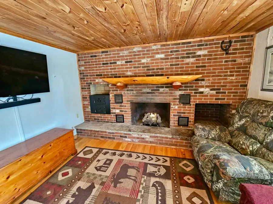 5520 Marsh Road, Onaway, MI 49765 - #2