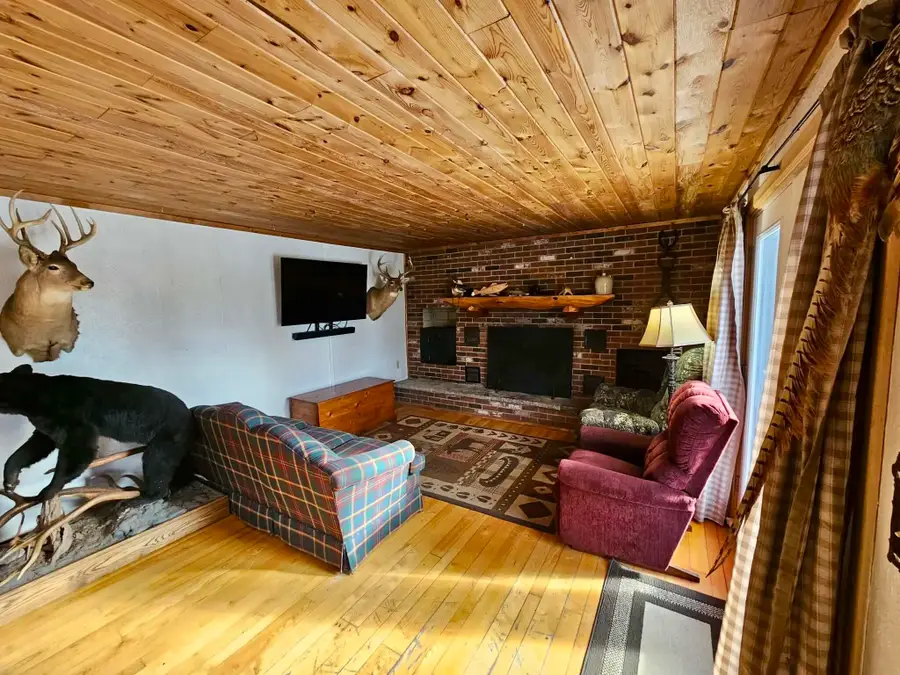 5520 Marsh Road, Onaway, MI 49765 - #3