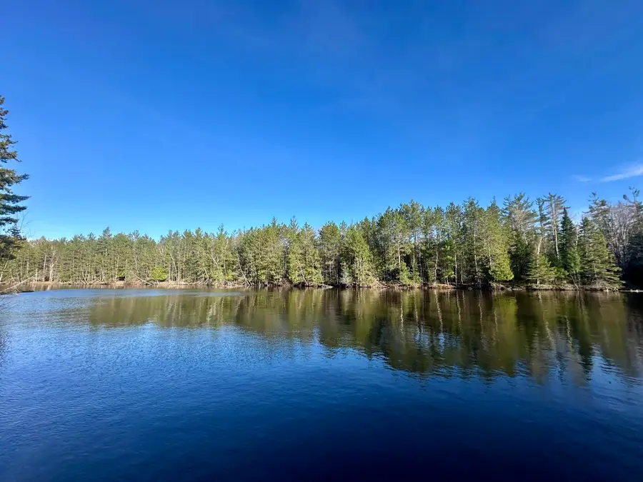 26 AC Connon Road, Hillman, MI 49746 - #2