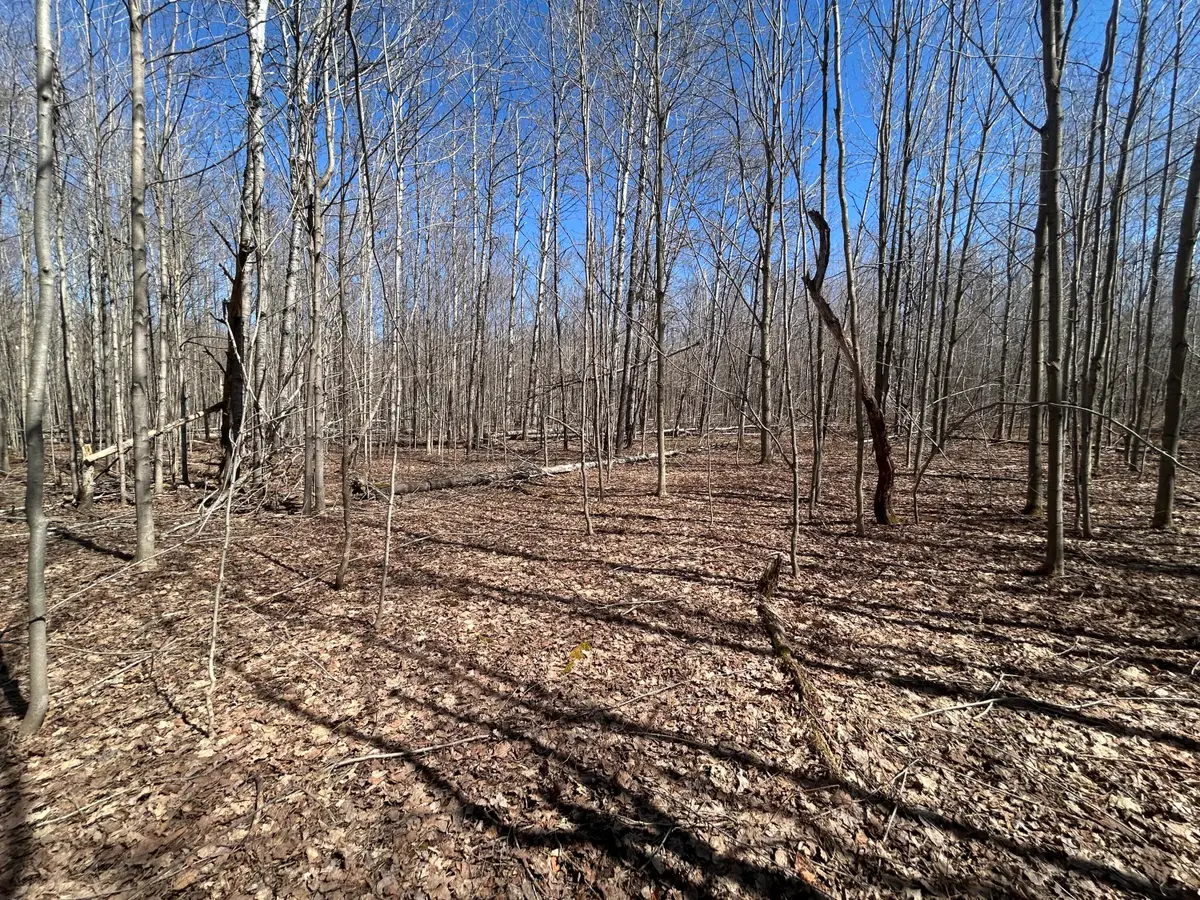 Lot 738 Pine Run, Elmira, MI 49730 - #1