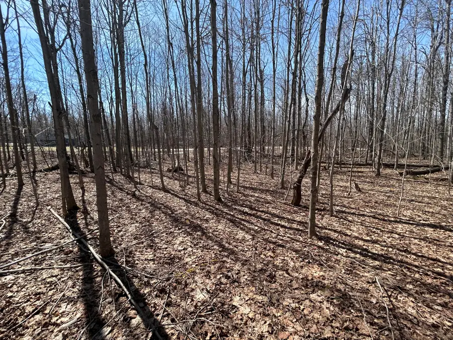 Lot 738 Pine Run, Elmira, MI 49730 - #3