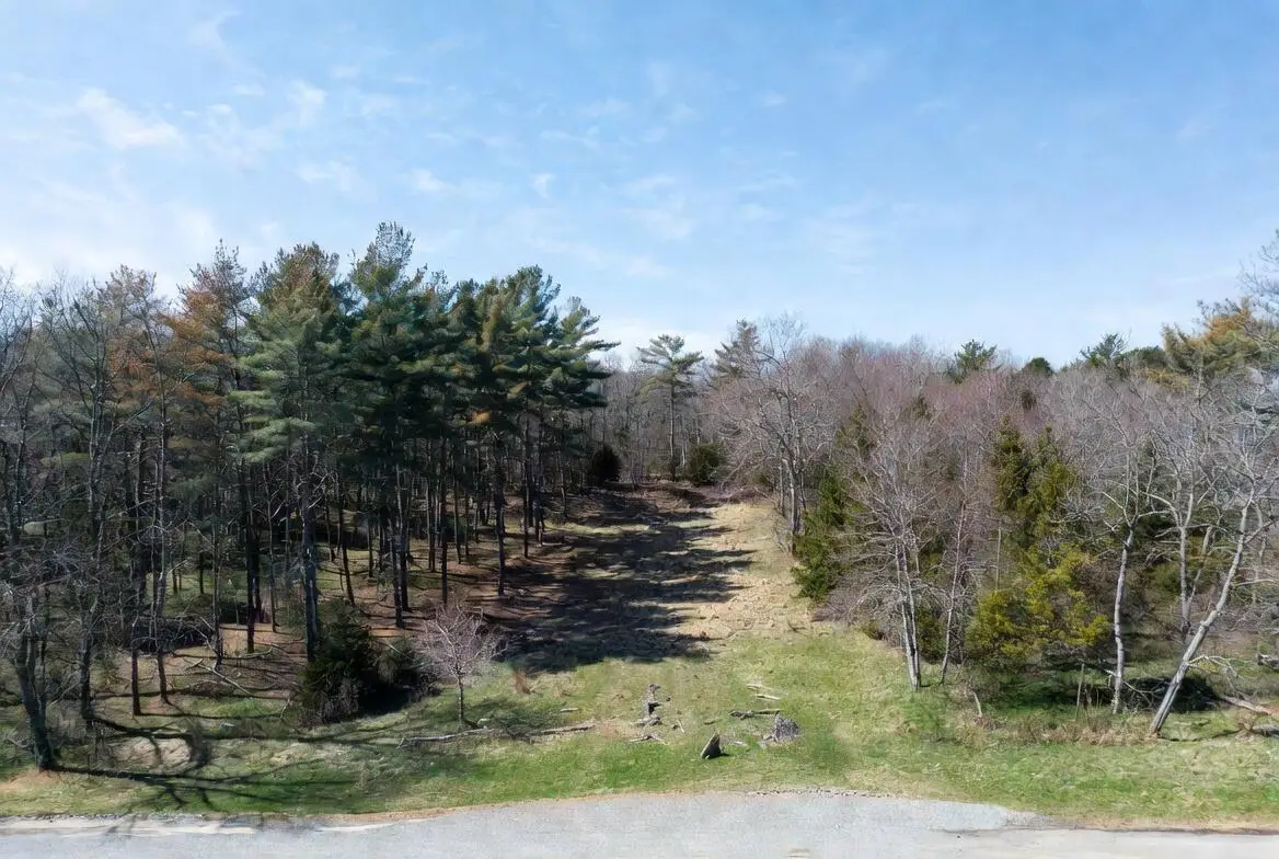113200 Congdon Road, Wolverine, MI 49799 - #1