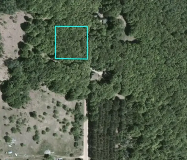 113200 Congdon Road, Wolverine, MI 49799 - #2