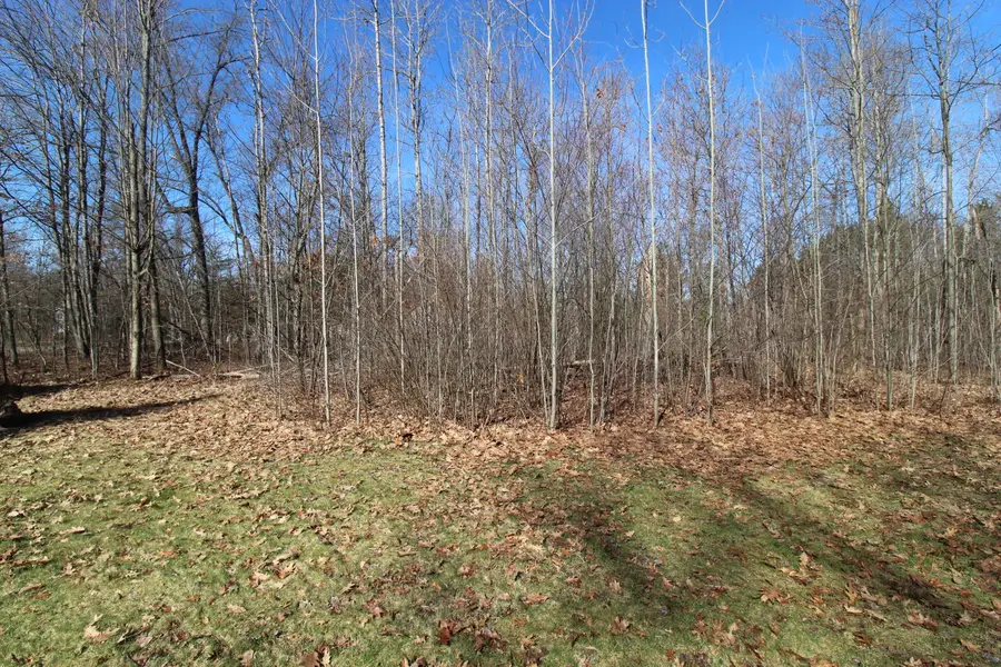 305 Autumn Lane, Roscommon, MI 48653 - #3