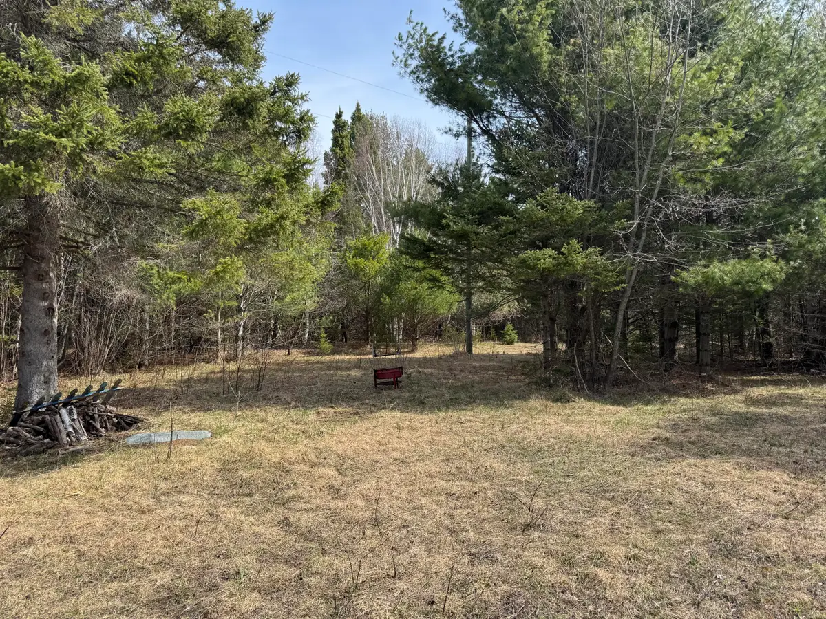 10736 Jones Boulevard, Carp Lake, MI 49718 - #1