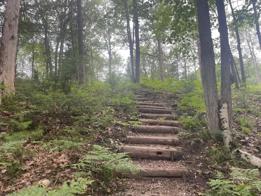5001 Big Sky Trail, Indian River, MI 49749 - #3