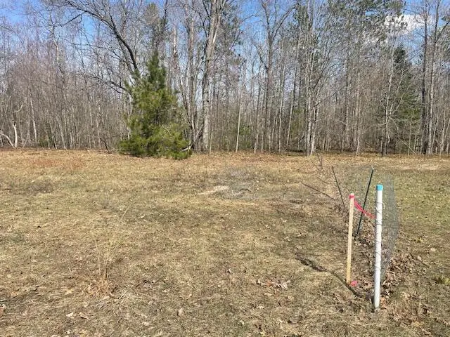 2.1 acres Club Road, Indian River, MI 49749 - #1