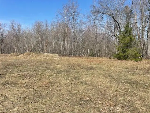 2.1 acres Club Road, Indian River, MI 49749 - #3