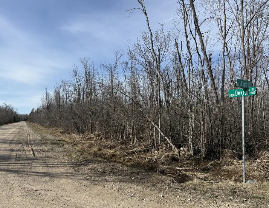 .37 acres Dekruif Road, Levering, MI 49755 - #3