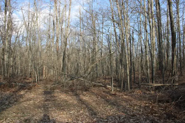 Parcel 1 Hardy Grade Road, Fairview, MI 48621