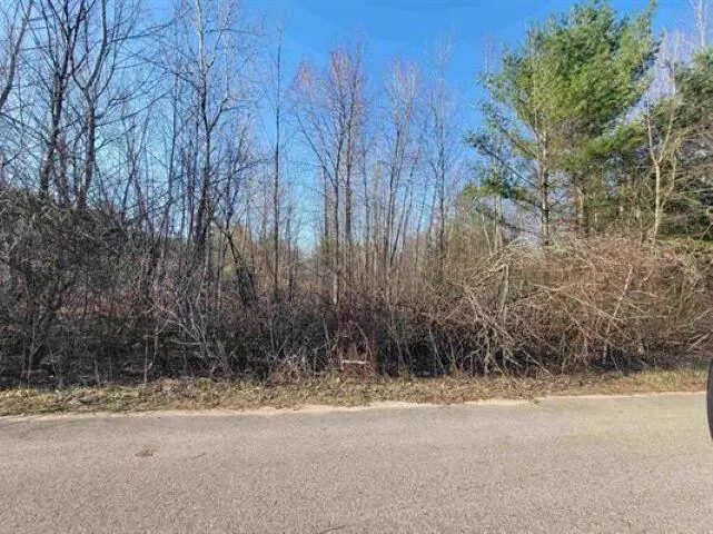 0.50 AC Maple Street, Gladwin, MI 48624 - #1