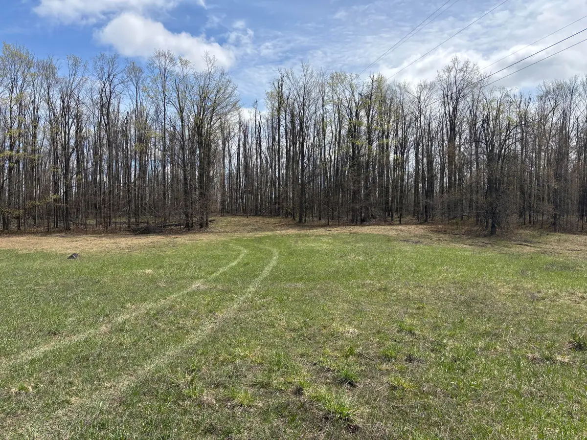 Parcel 5 Birch Run Drive, Gaylord, MI 49735 - #1