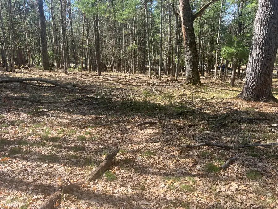 2832 N White Pine Drive, Grayling, MI 49738 - #2