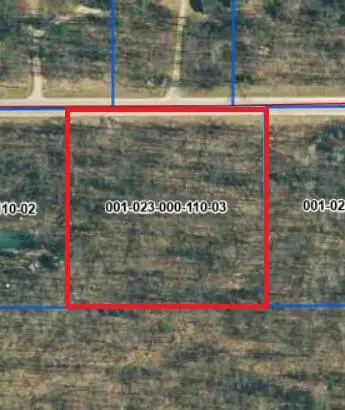 V/L Willoway Drive, Lewiston, MI 49756 - #2