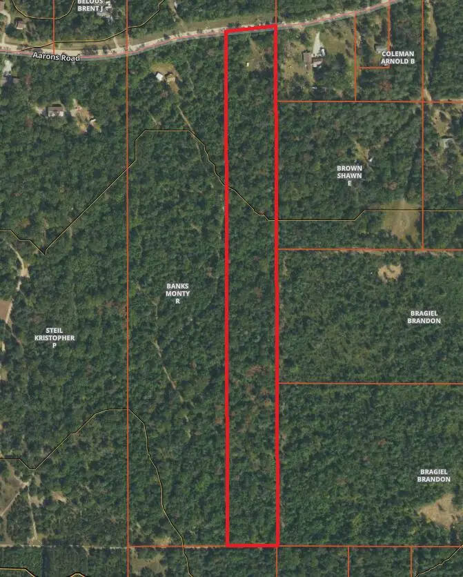 2975 Aarons Road, Lewiston, MI 49756 - #1