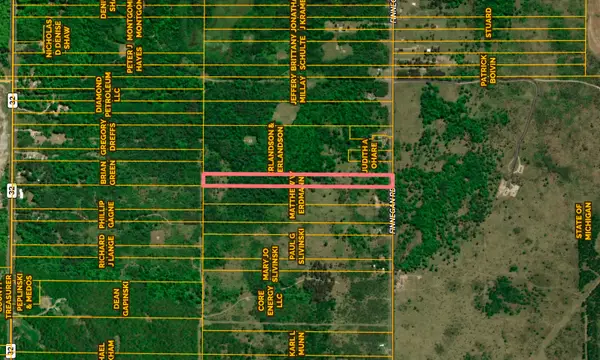6736 Finnegan Road, Johannesburg, MI 49751