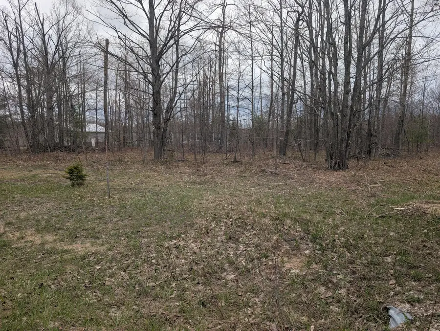 6736 Finnegan Road, Johannesburg, MI 49751 - #3