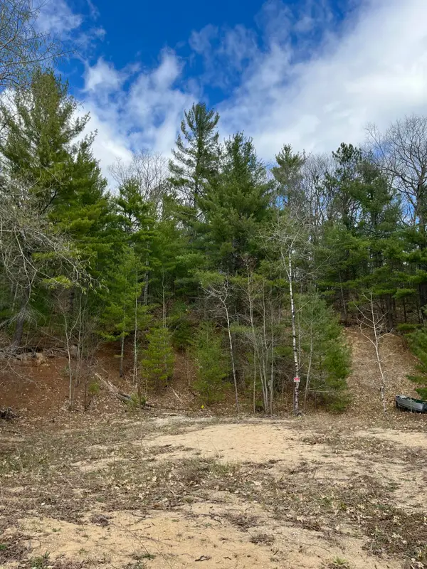 2687 Birchcrest Drive, Kalkaska, MI 49646