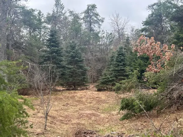 32 AC E Railroad Trail, Grayling, MI 49738