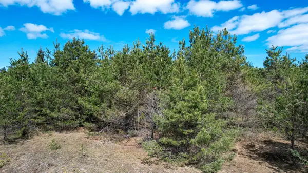 2.83 AC N Black River Road, Cheboygan, MI 49721