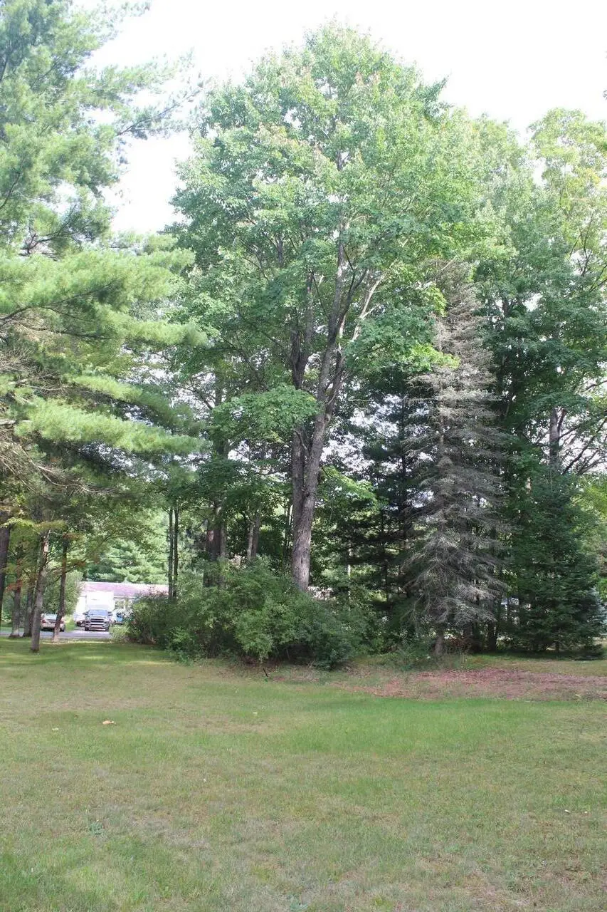 11831 Woody Road, Roscommon, MI 48653 - #3