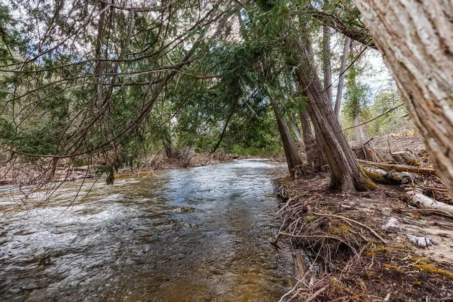 B & C S Straits Highway, Wolverine, MI 49799 - #3