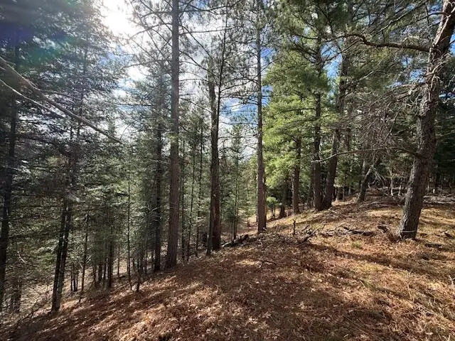 Parcel 1 Sawmill Trail, Grayling, MI 49738 - #1