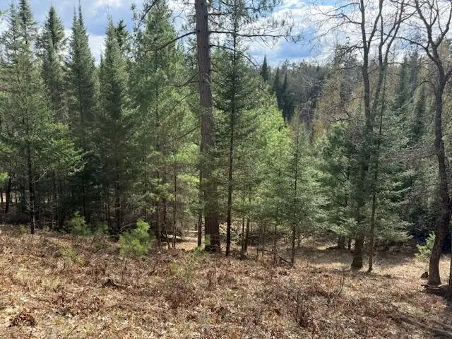 Parcel 1 Sawmill Trail, Grayling, MI 49738 - #2