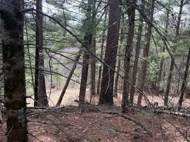 Parcel 1 Sawmill Trail, Grayling, MI 49738 - #3