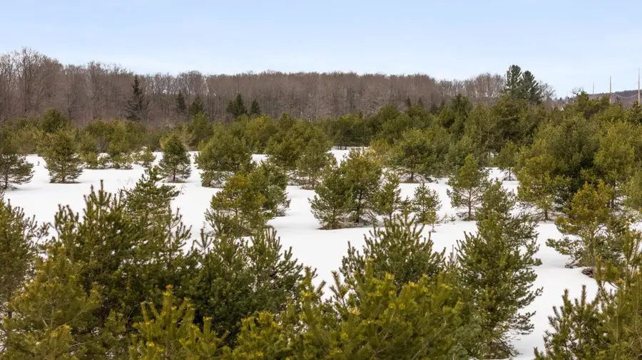 47.85 AC Wetzel Lake Road, Mancelona, MI 49659 - #2